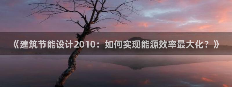 e尊国际平台：《建筑节能设计2010：如何实现能源效率最大化？》