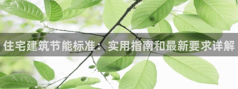 e尊国际网址：住宅建筑节能标准：实用指南和最新要求详解