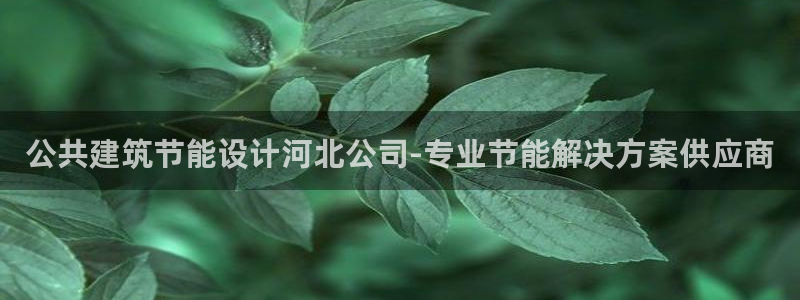 e尊国际地址：公共建筑节能设计河北公司-专业节能解决方案供应商