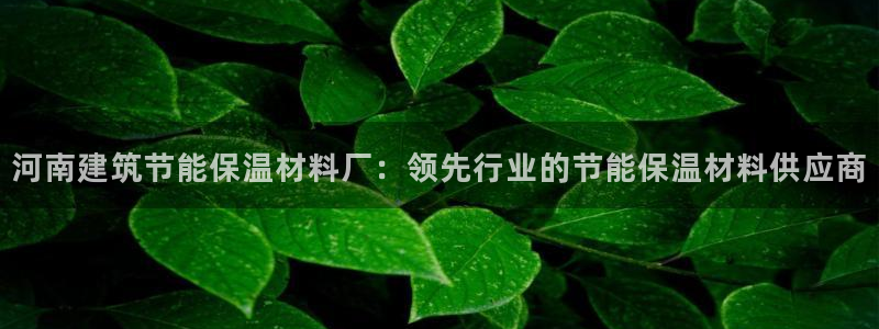 e尊国际平台：河南建筑节能保温材料厂：领先行业的节能保温材料供应商