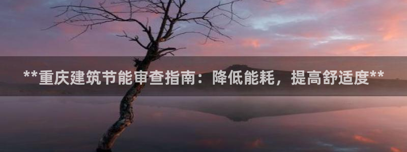 E尊国际：**重庆建筑节能审查指南：降低能耗，提高舒适度**