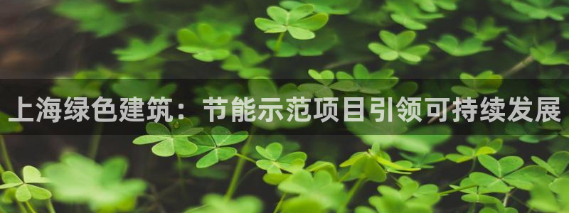 e尊国际是个黑网：上海绿色建筑：节能示范项目引领可持续发展