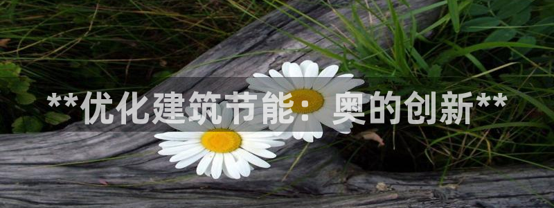 e尊平台：**优化建筑节能：奥的创新**