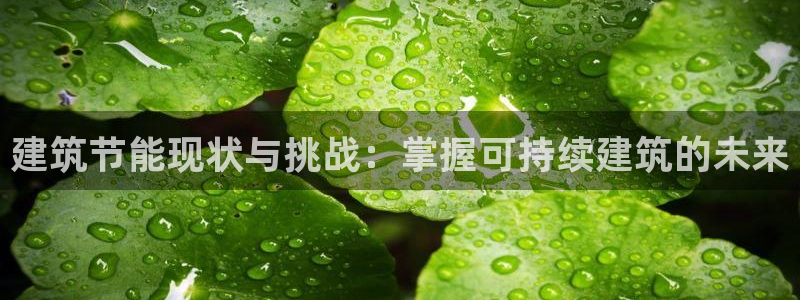 e尊国际官方网站：建筑节能现状与挑战：掌握可持续建筑的未来