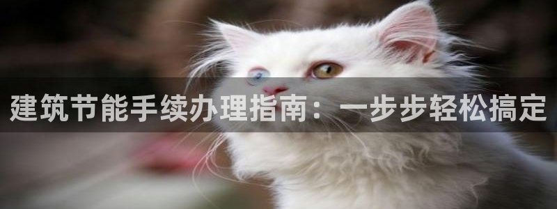 e尊电竞：建筑节能手续办理指南：一步步轻松搞定