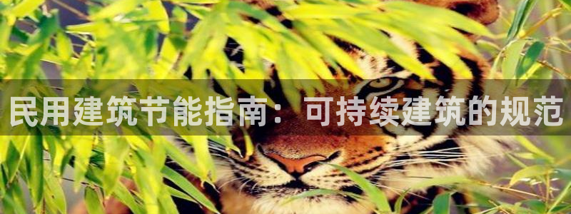谁知道e尊国际的网址：民用建筑节能指南：可持续建筑的规范