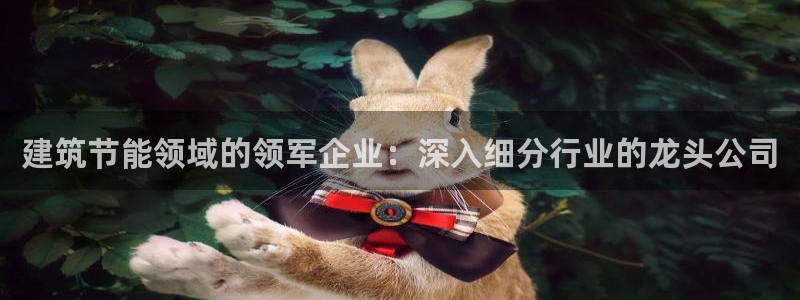 e尊国际客户端下载：建筑节能领域的领军企业：深入细分行业的龙头公司