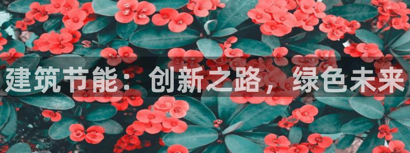 e尊国际地址：建筑节能：创新之路，绿色未来
