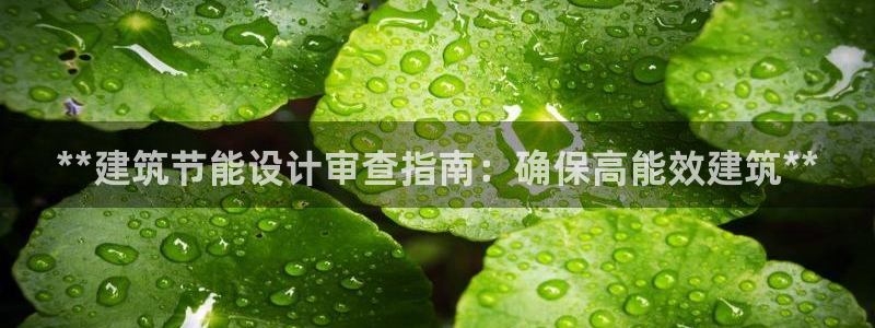 e尊国际网址：**建筑节能设计审查指南：确保高能效建筑**
