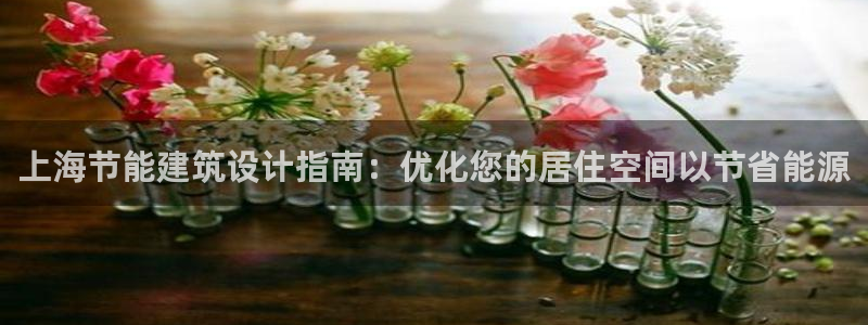 e尊体育：上海节能建筑设计指南：优化您的居住空间以节省能源