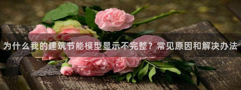 e尊国际平台：为什么我的建筑节能模型显示不完整？常见原因和解决办法