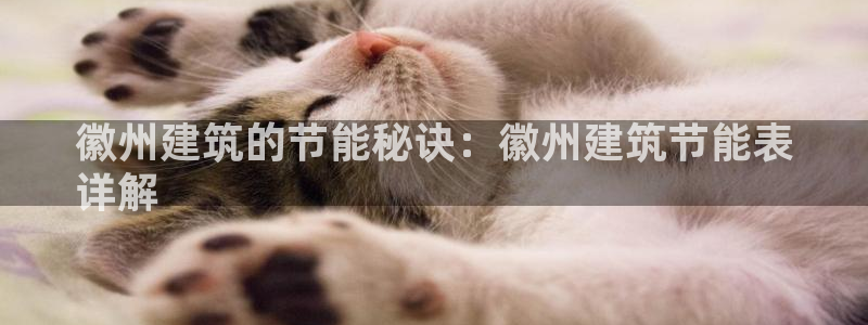 e尊官网：徽州建筑的节能秘诀：徽州建筑节能表
详解