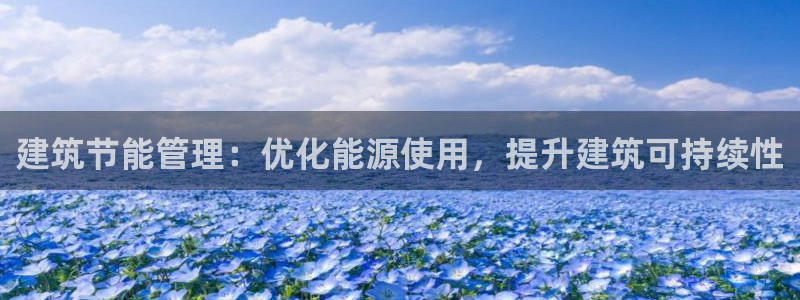 谁知道e尊国际的网址：建筑节能管理：优化能源使用，提升建筑可持续性