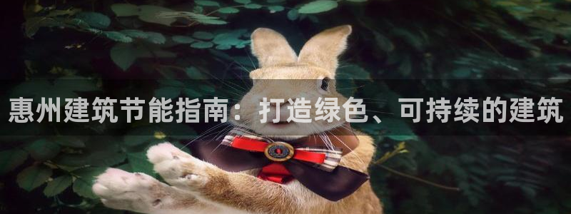 e尊国际可靠吗：惠州建筑节能指南：打造绿色、可持续的建筑