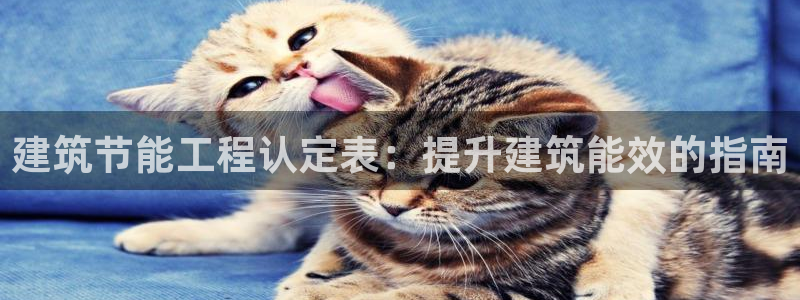 e尊国际的手机登录网站：建筑节能工程认定表：提升建筑能效的指南