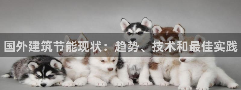 e尊国际客户端下载：国外建筑节能现状：趋势、技术和最佳实践