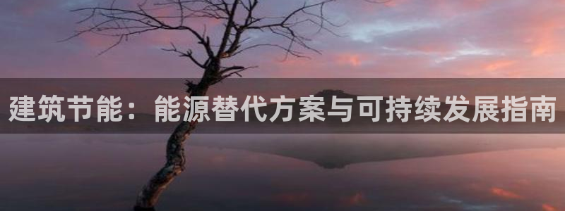 e尊国际可靠吗：建筑节能：能源替代方案与可持续发展指南