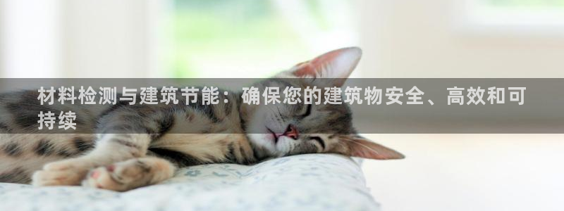 e尊国际官方网站：材料检测与建筑节能：确保您的建筑物安全、高效和可
持续