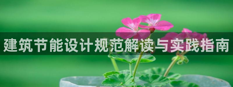 e尊国际是个黑网：建筑节能设计规范解读与实践指南