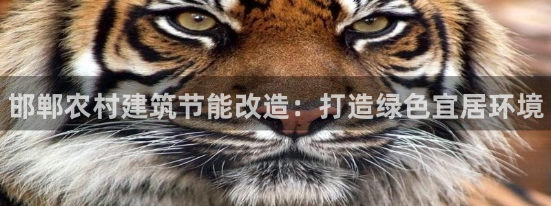 谁知道e尊国际的网址：邯郸农村建筑节能改造：打造绿色宜居环境