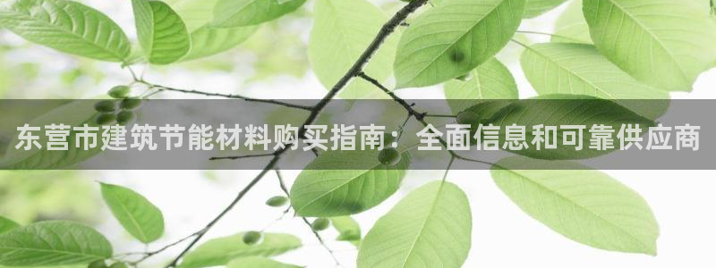 e尊国际是个黑网：东营市建筑节能材料购买指南：全面信息和可靠供应商