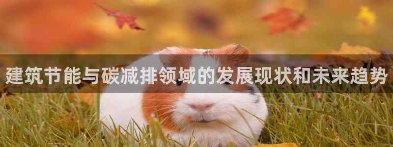 e尊国际娱乐官网地址