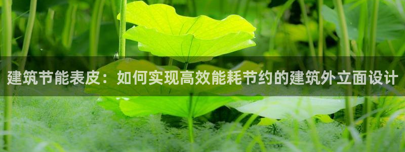 e尊国际app：建筑节能表皮：如何实现高效能耗节约的建筑外立面设计
