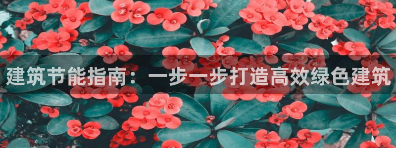 e尊国际是个黑网