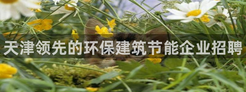 e尊国际平台：天津领先的环保建筑节能企业招聘