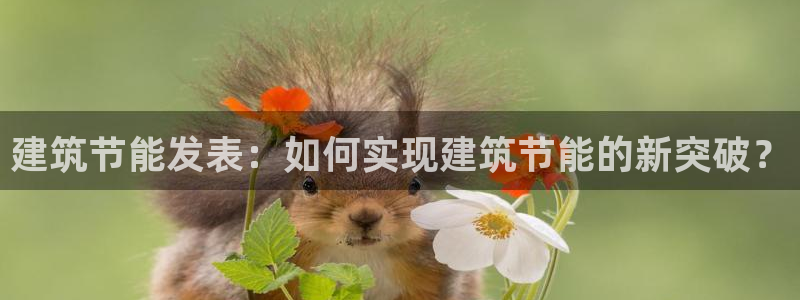 e尊国际的手机登录网站：建筑节能发表：如何实现建筑节能的新突破？