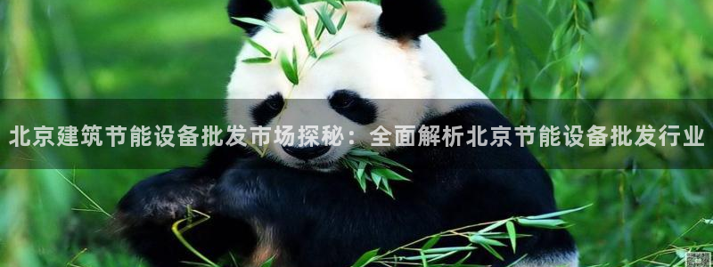 e尊国际娱乐官网下载：北京建筑节能设备批发市场探秘：全面解析北京节能设备批发行业