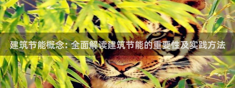 谁知道e尊国际的网址：建筑节能概念: 全面解读建筑节能的重要性及实践方法