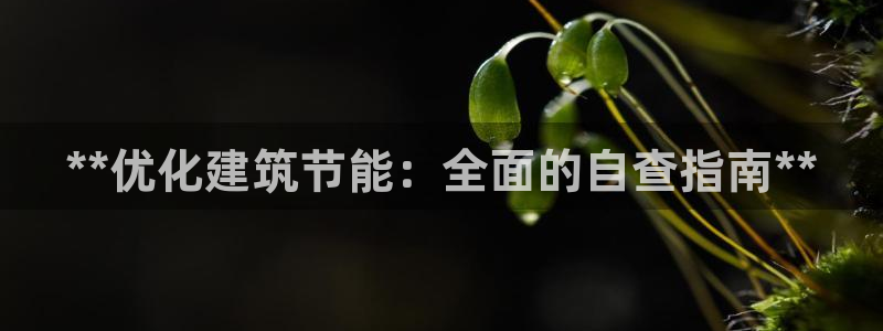 e尊国际娱乐官网下载：**优化建筑节能：全面的自查指南**
