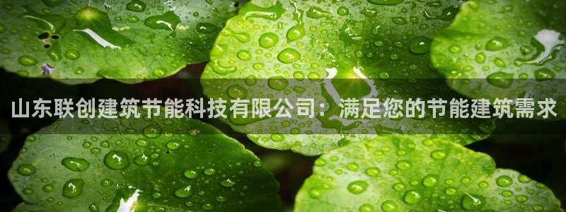 e尊国际的手机登录网站：山东联创建筑节能科技有限公司：满足您的节能建筑需求