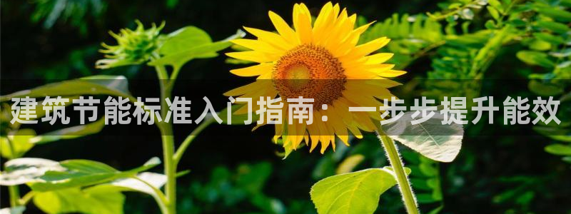 e尊平台：建筑节能标准入门指南：一步步提升能效