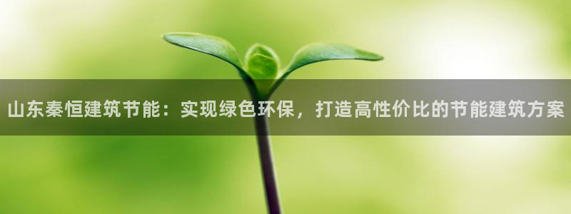 e尊国际客服：山东秦恒建筑节能：实现绿色环保，打造高性价比的节能建筑方案