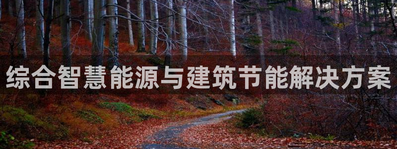 e尊体育：综合智慧能源与建筑节能解决方案
