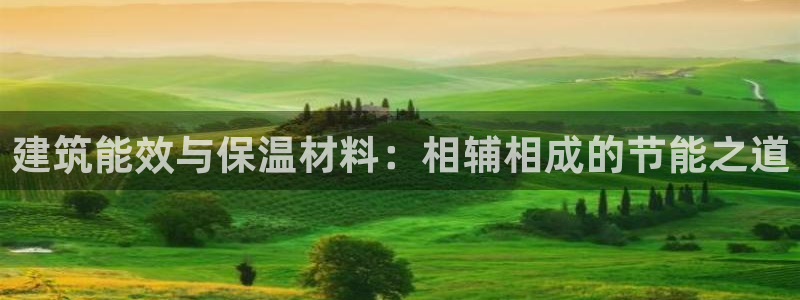 e尊国际平台：建筑能效与保温材料：相辅相成的节能之道