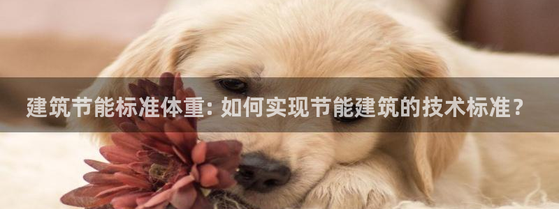 e尊国际平台：建筑节能标准体重: 如何实现节能建筑的技术标准？