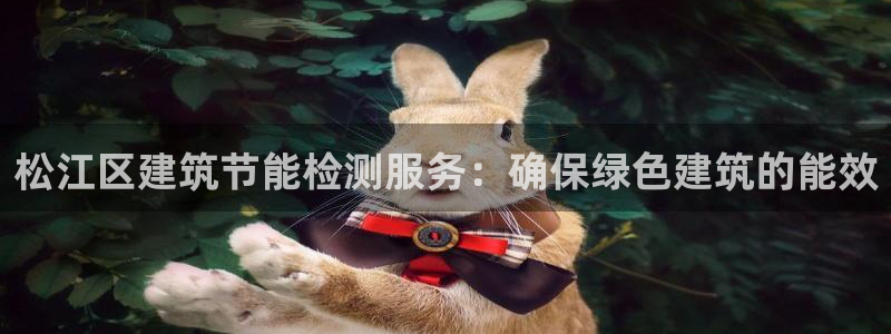 e尊国际官方网站：松江区建筑节能检测服务：确保绿色建筑的能效