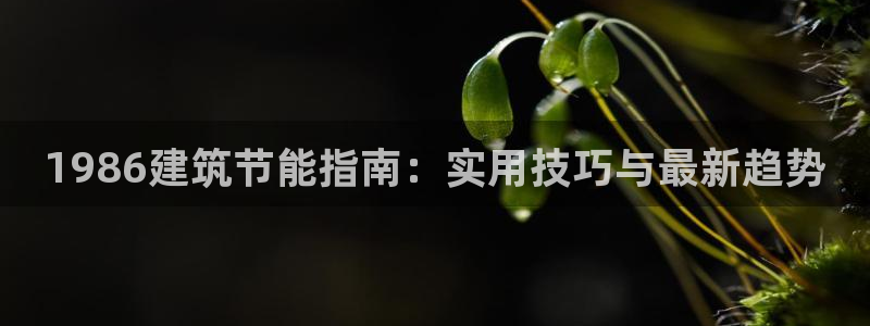 e尊国际官方网站