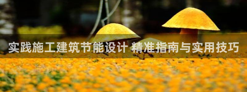 e尊官网：实践施工建筑节能设计 精准指南与实用技巧