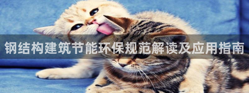 E尊国际：钢结构建筑节能环保规范解读及应用指南