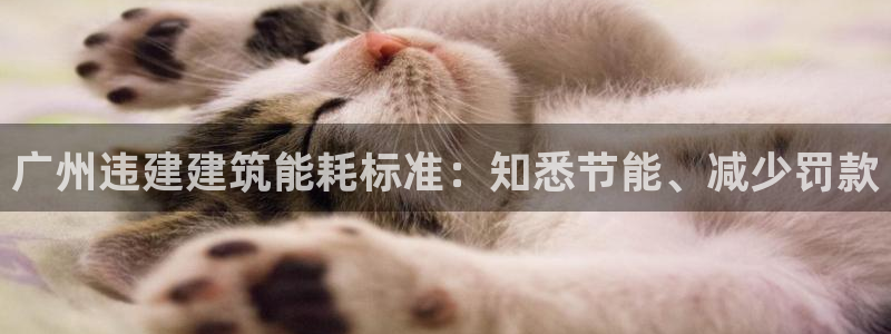 尊亿游戏国际官网：广州违建建筑能耗标准：知悉节能、减少罚款