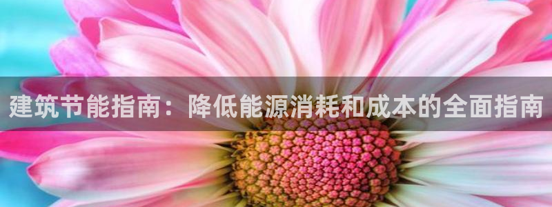 e尊国际平台：建筑节能指南：降低能源消耗和成本的全面指南