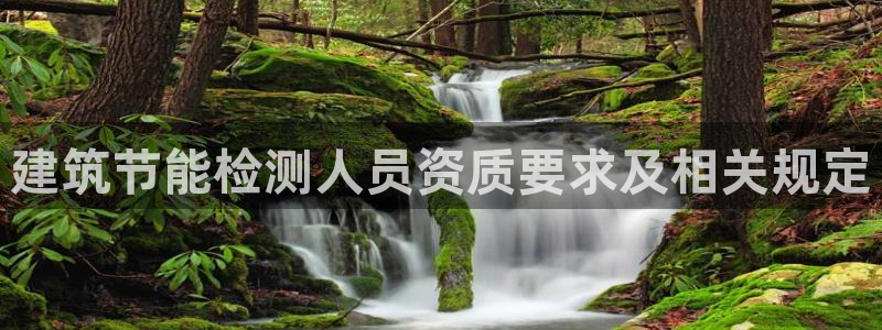 e尊国际是干什么的