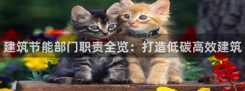 e尊国际平台：建筑节能部门职责全览：打造低碳高效建筑
