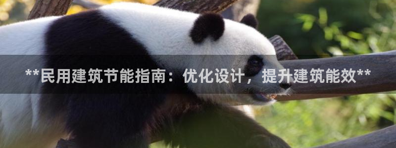 e尊国际客户端：**民用建筑节能指南：优化设计，提升建筑能效**