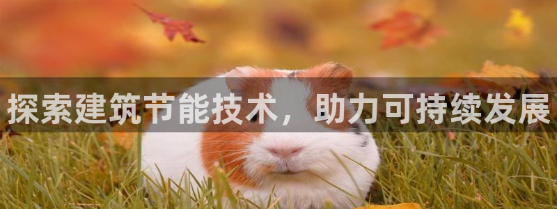 E尊国际：探索建筑节能技术，助力可持续发展