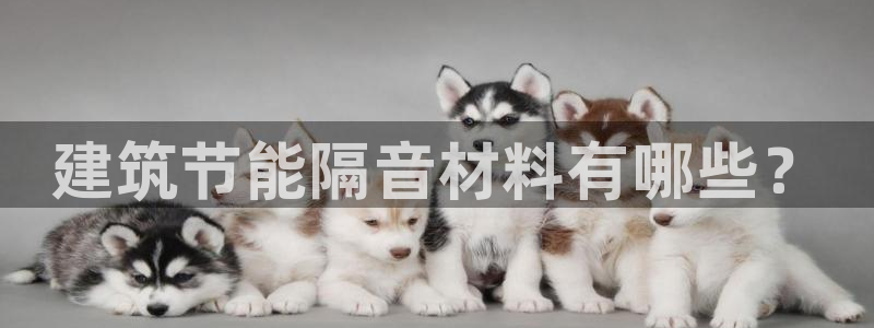 e尊国际客户端：建筑节能隔音材料有哪些？
